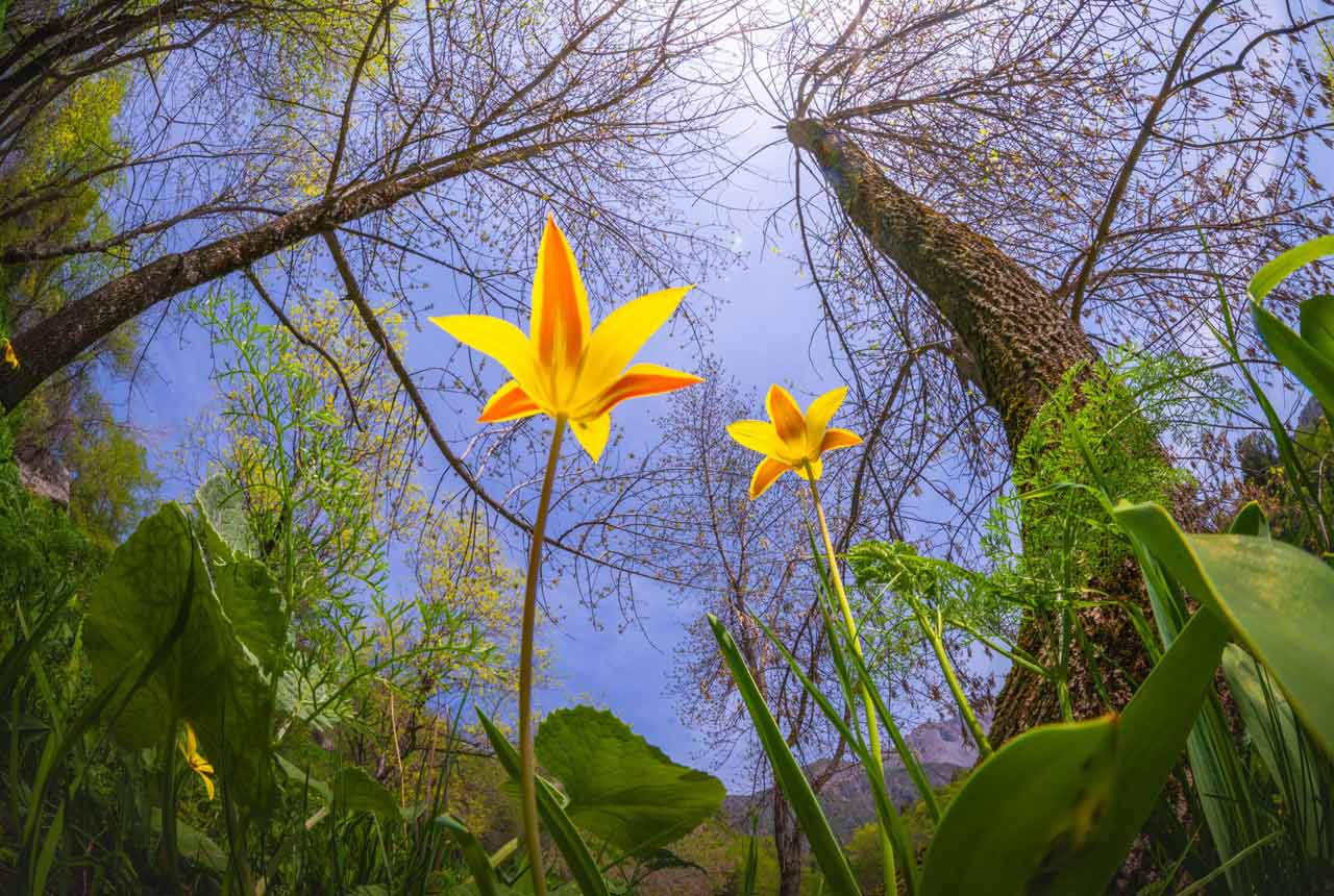 2560626_LAOWA_8-15mmF2-ZoomFisheye_05