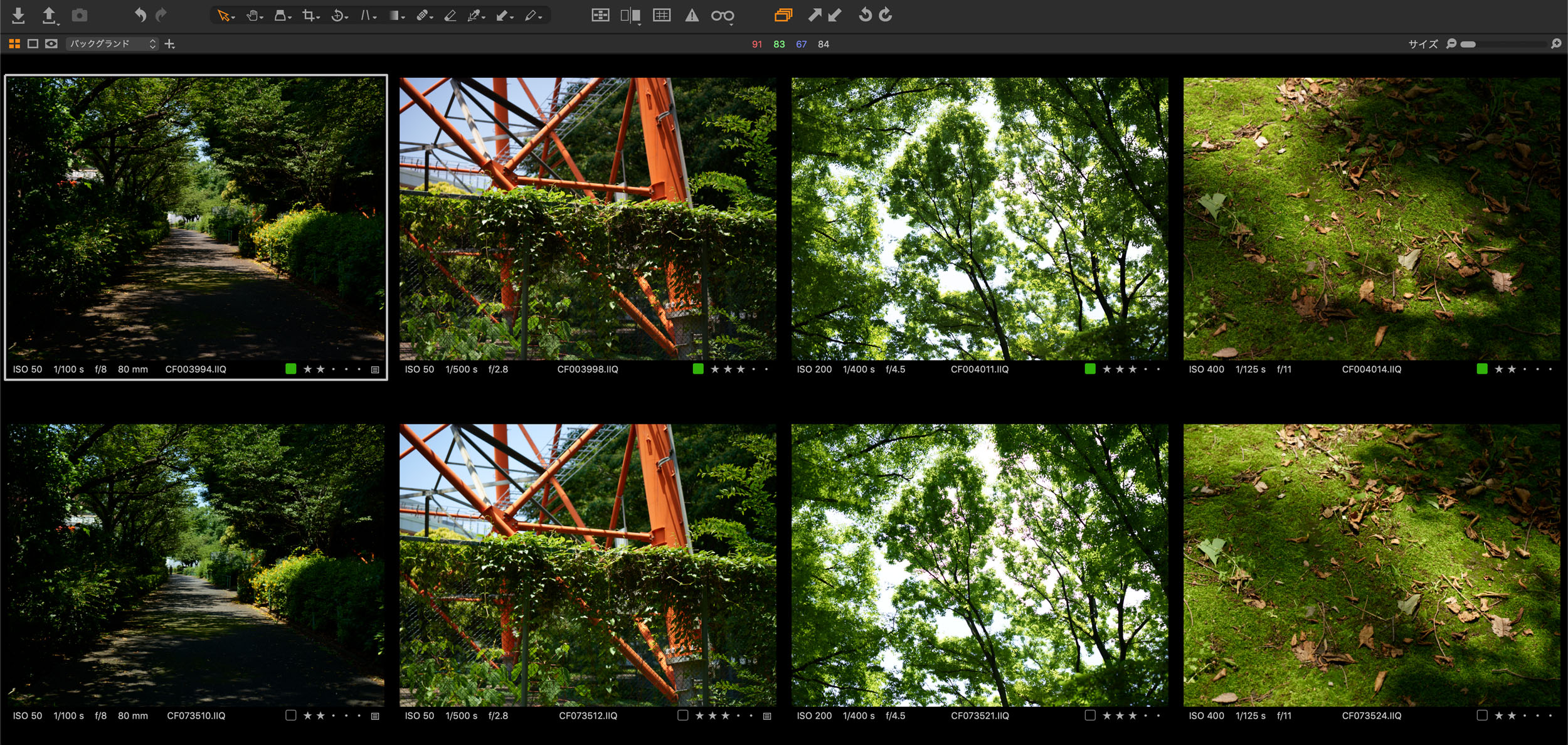 250710_iq3-trichromatic_25