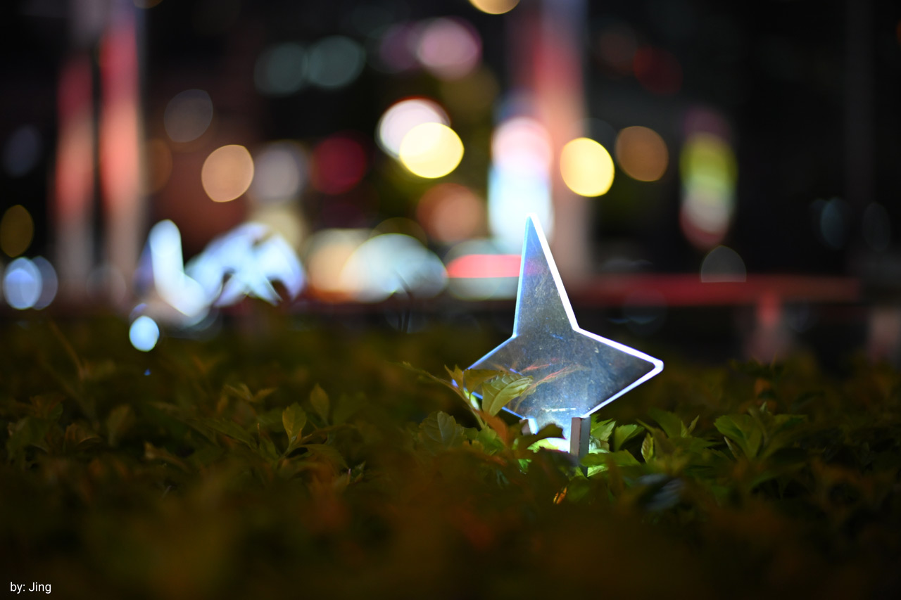 250718_Noxlux-DG50F12_05