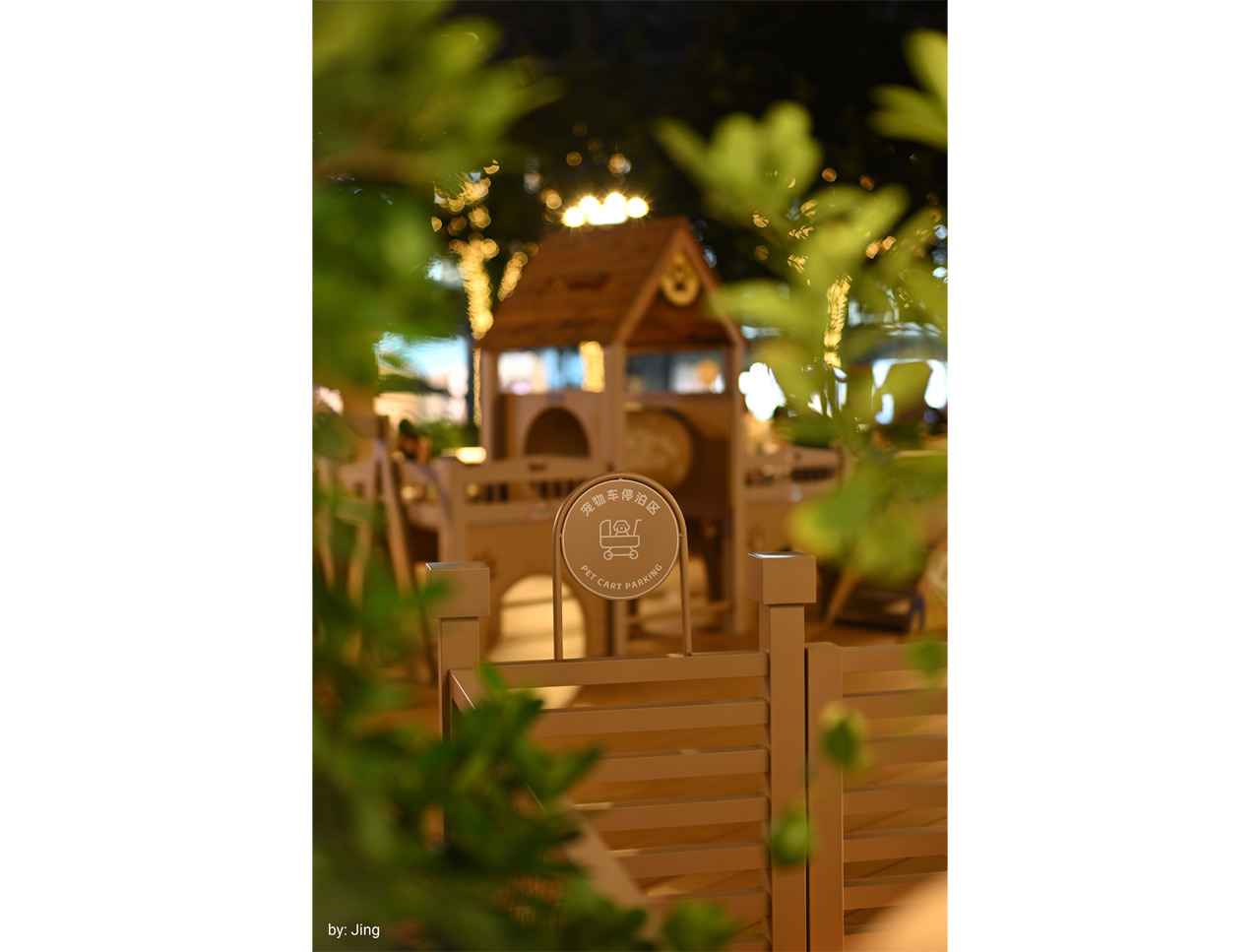 250718_Noxlux-DG50F12_06