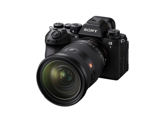 ソニー、「α1 II」メジャーアップデートを公開。撮影情報レイアウトの縦横対応、デュアルスロット同時削除・レーティングが可能に