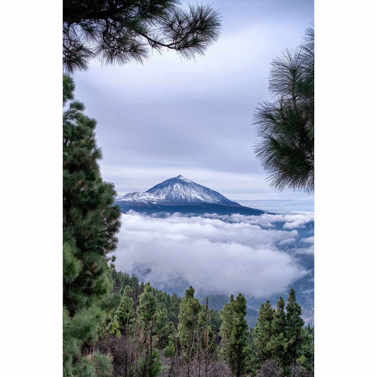 250730_TTArtisan_AF23mmf18_07