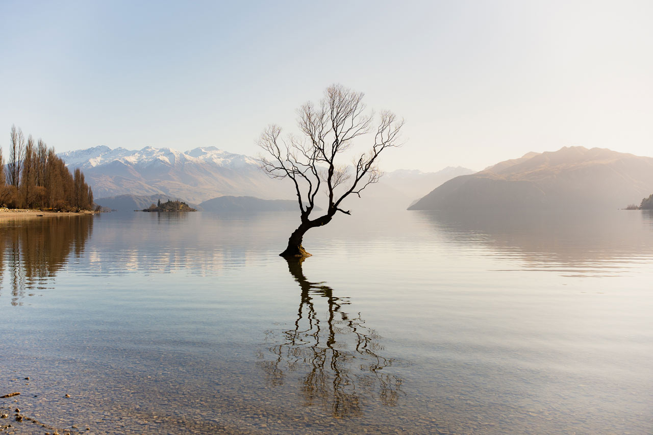 250822_AF-40mm-f2_05