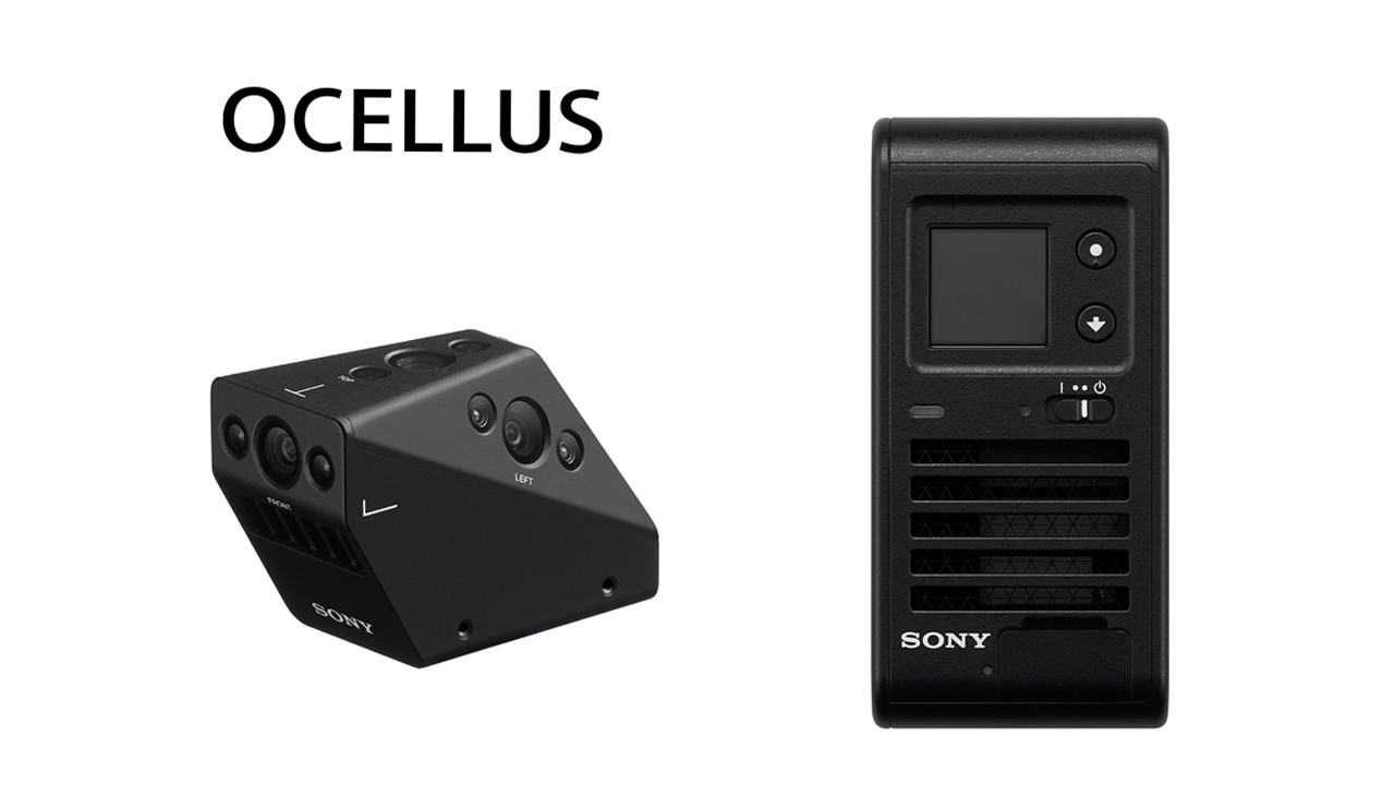 250902_OCELLUS_top