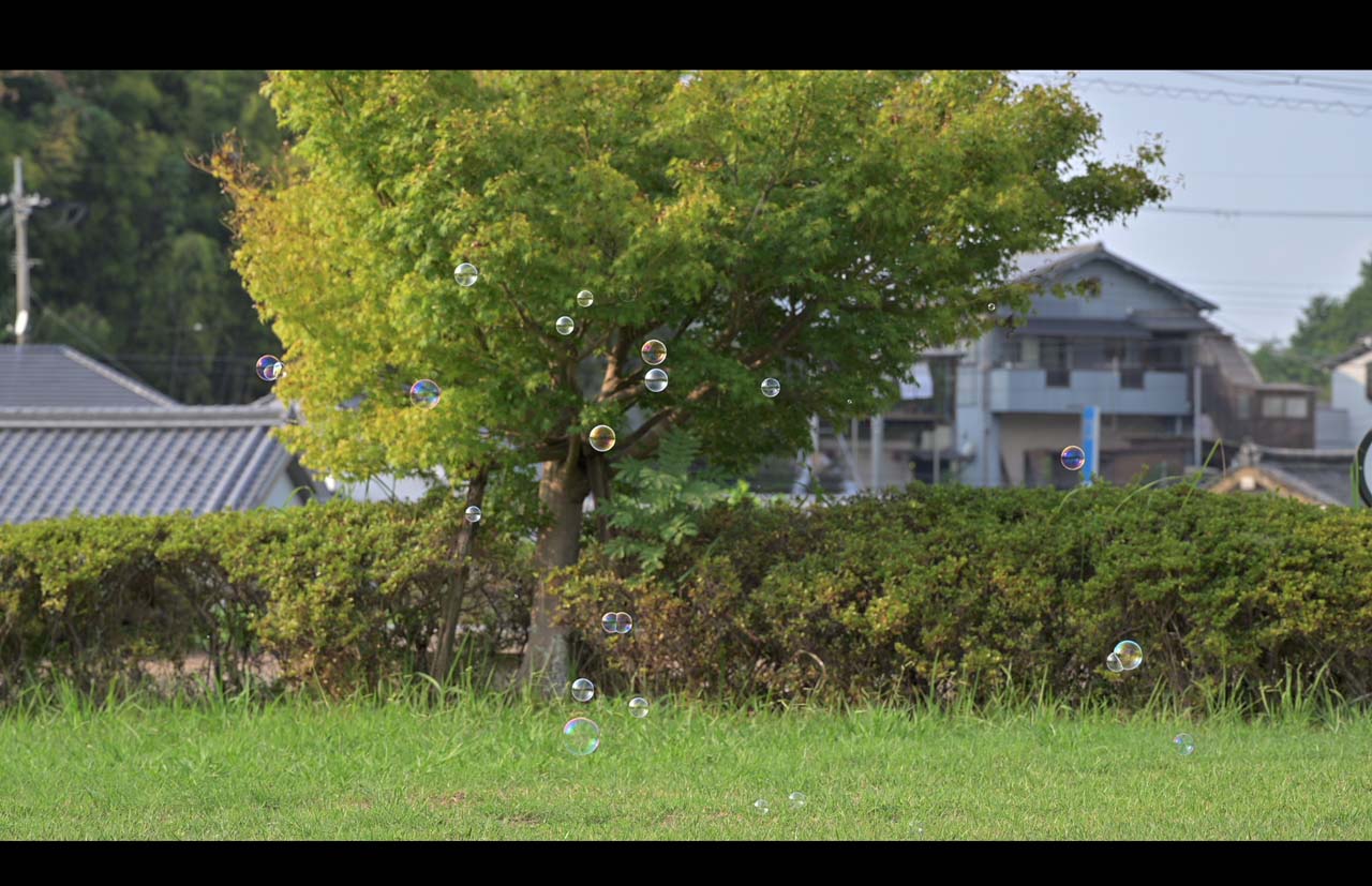 250922_UpDownCross12G_22