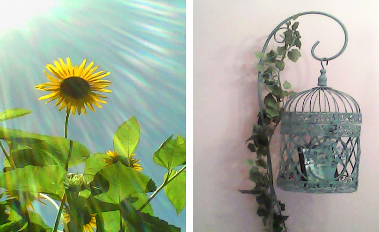 251003_PieniII_04PsS2OjdS