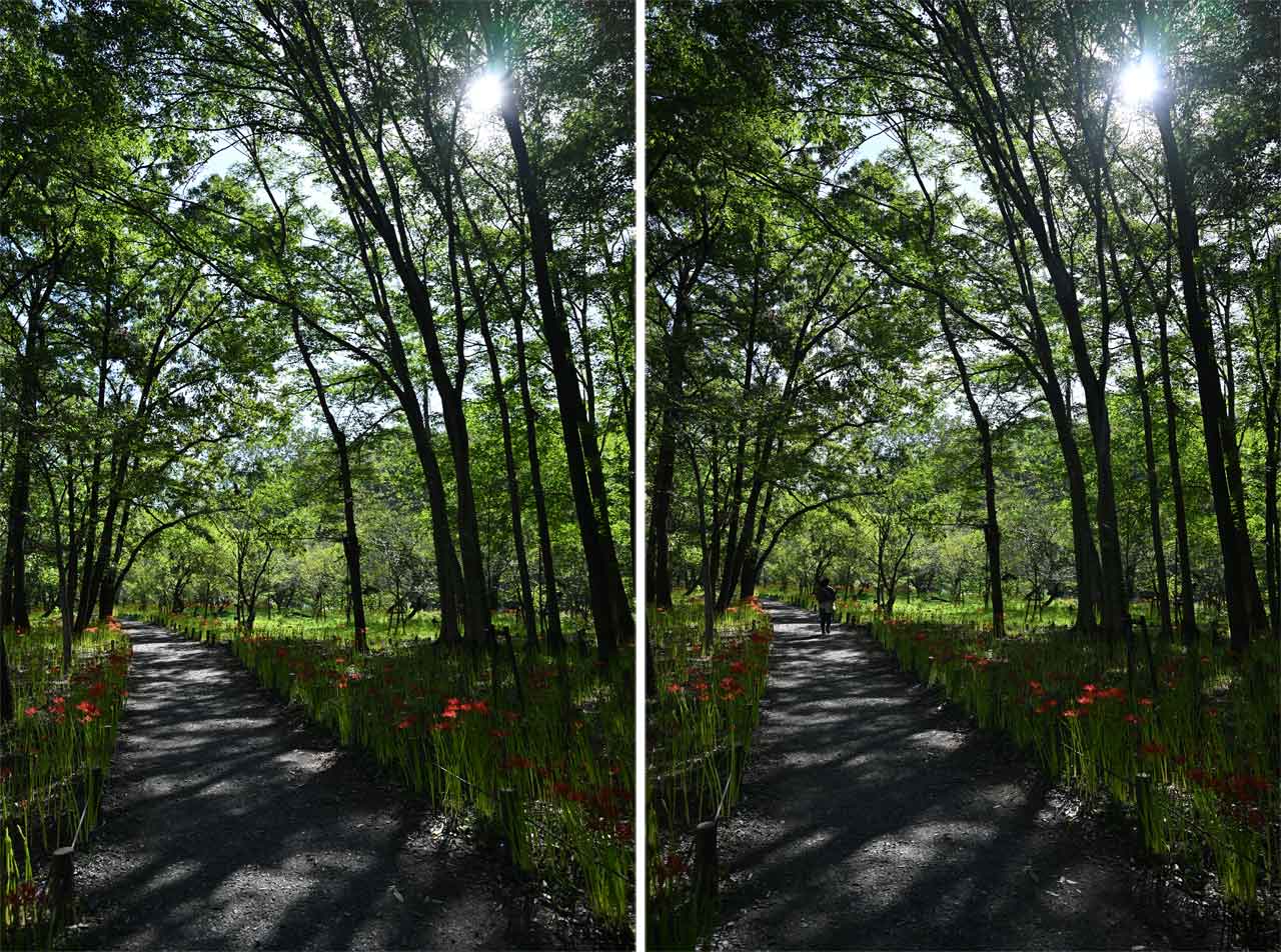 251006_Review_NIKKOR-Z_06