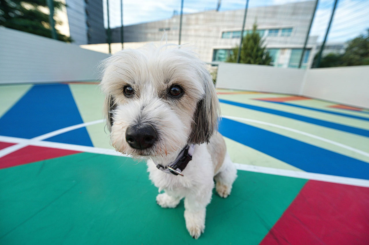 251017_Viltrox_02yYjm46fc