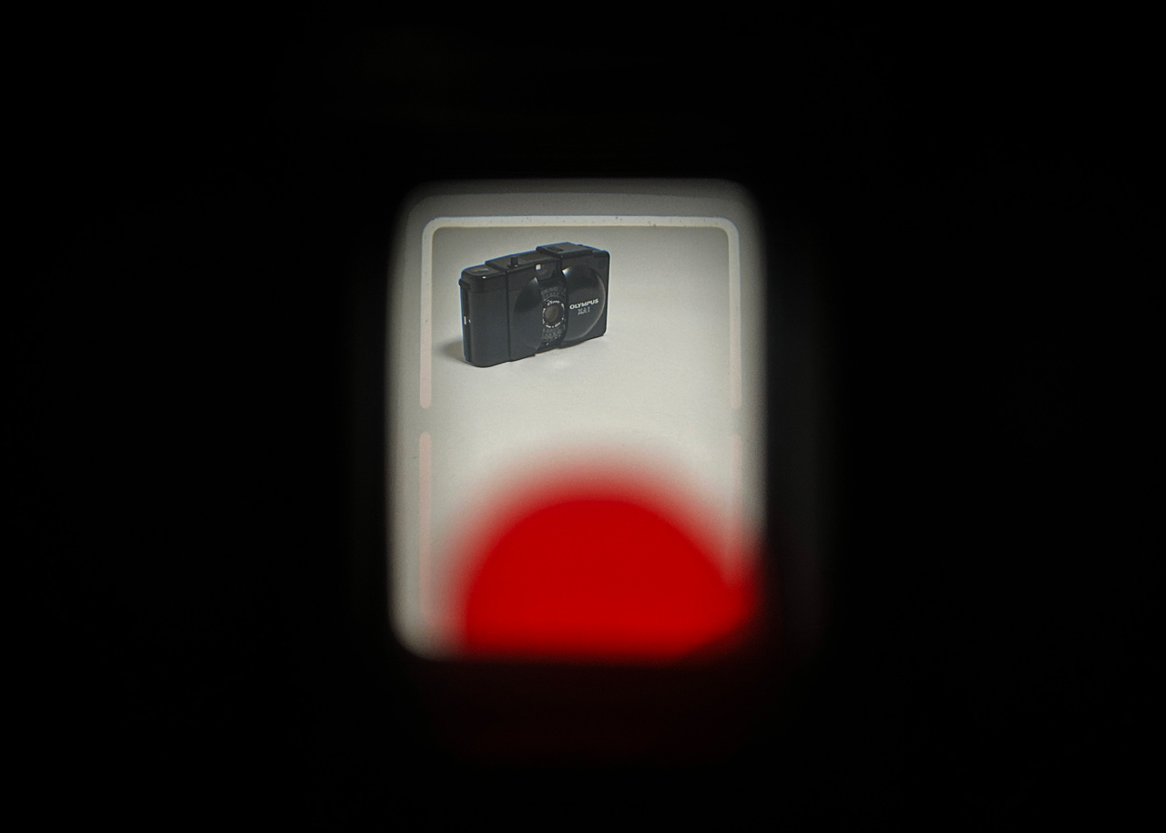 251024_PENEE-3_06NBI3VpNk