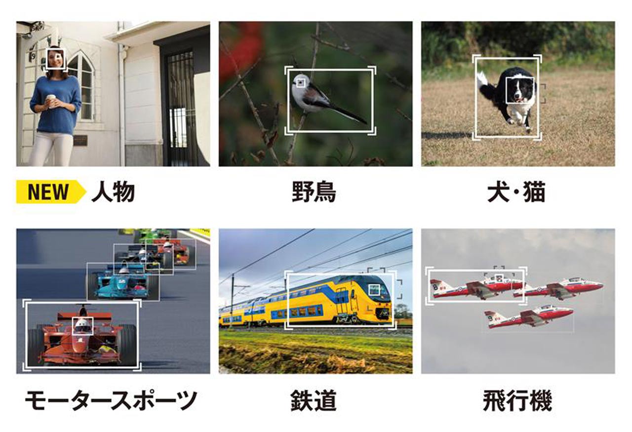 251030_OM-1MarkII-II_kit_02oBgliM5D