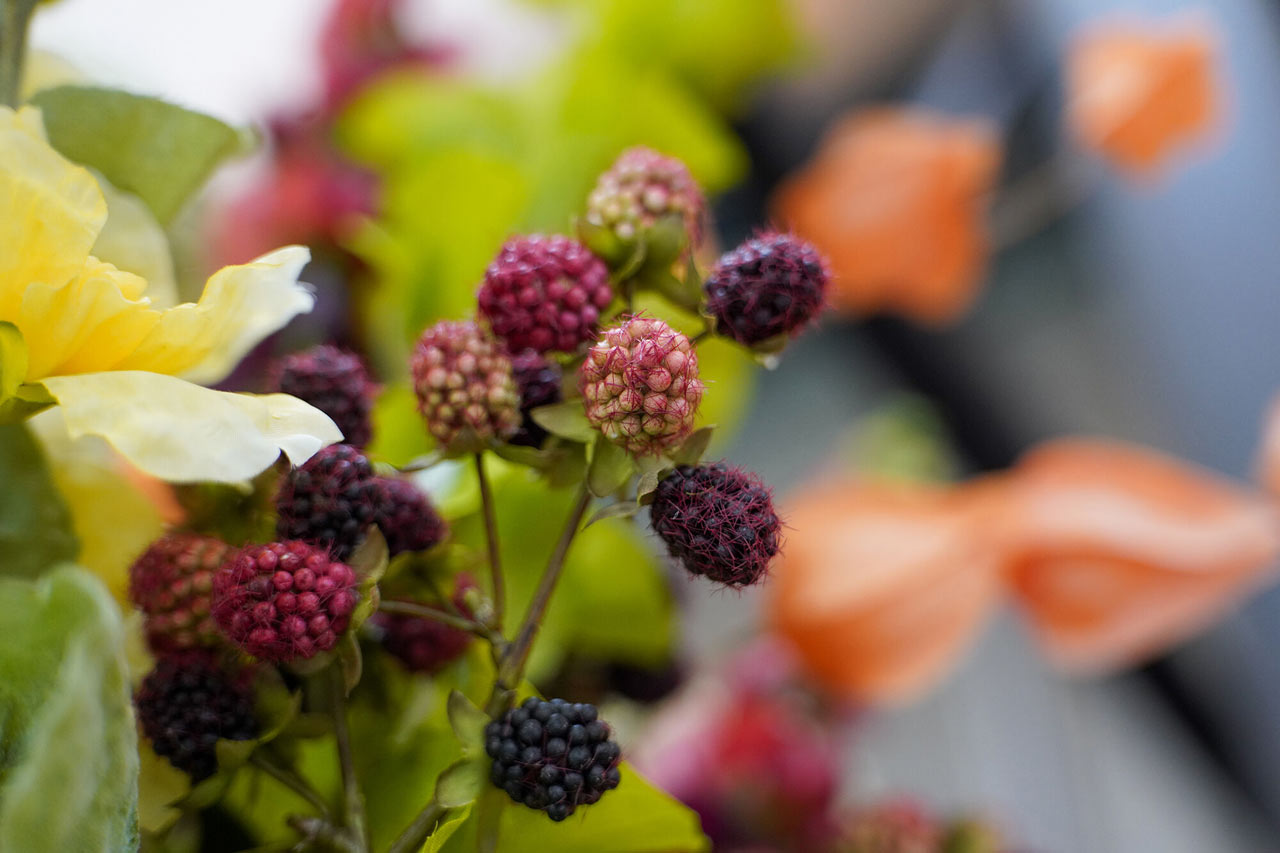 251110_af24-60_f28_03A6RUso4c