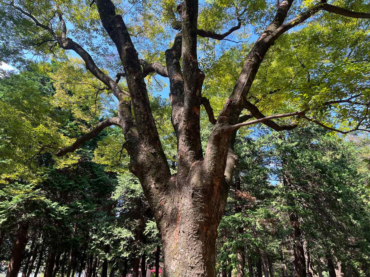 251118_EXAPROClipLens_02hp5yRdHE