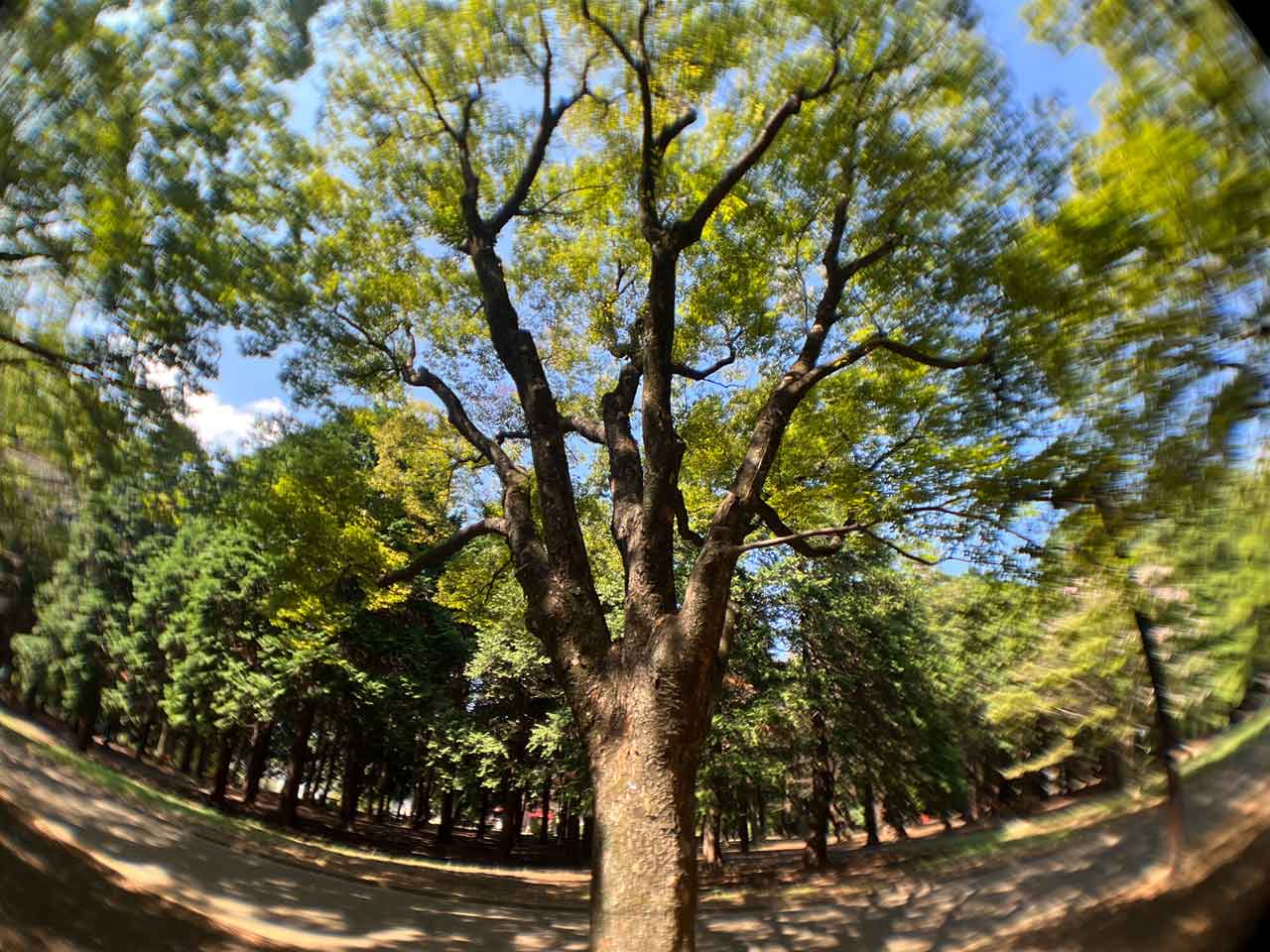 251118_EXAPROClipLens_03SM3pRj26