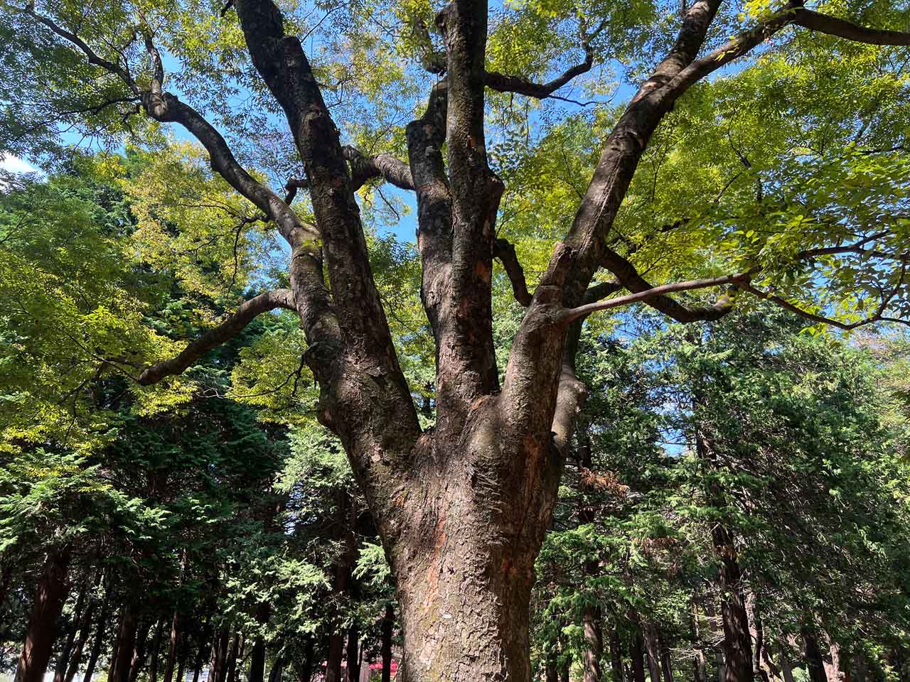 251118_EXAPROClipLens_04HDVJ7F6b