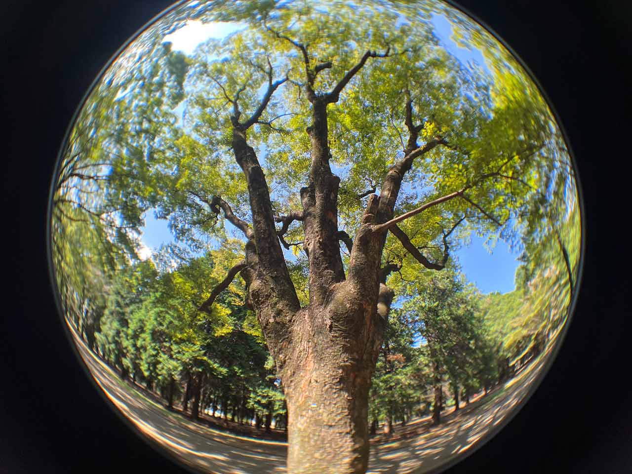 251118_EXAPROClipLens_05obdrRJ1C