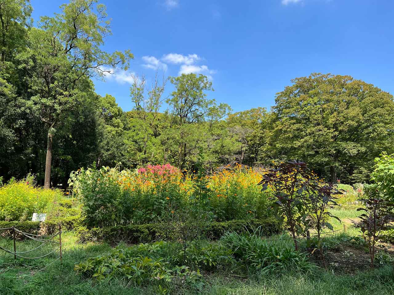 251118_EXAPROClipLens_06oTUi2tWX