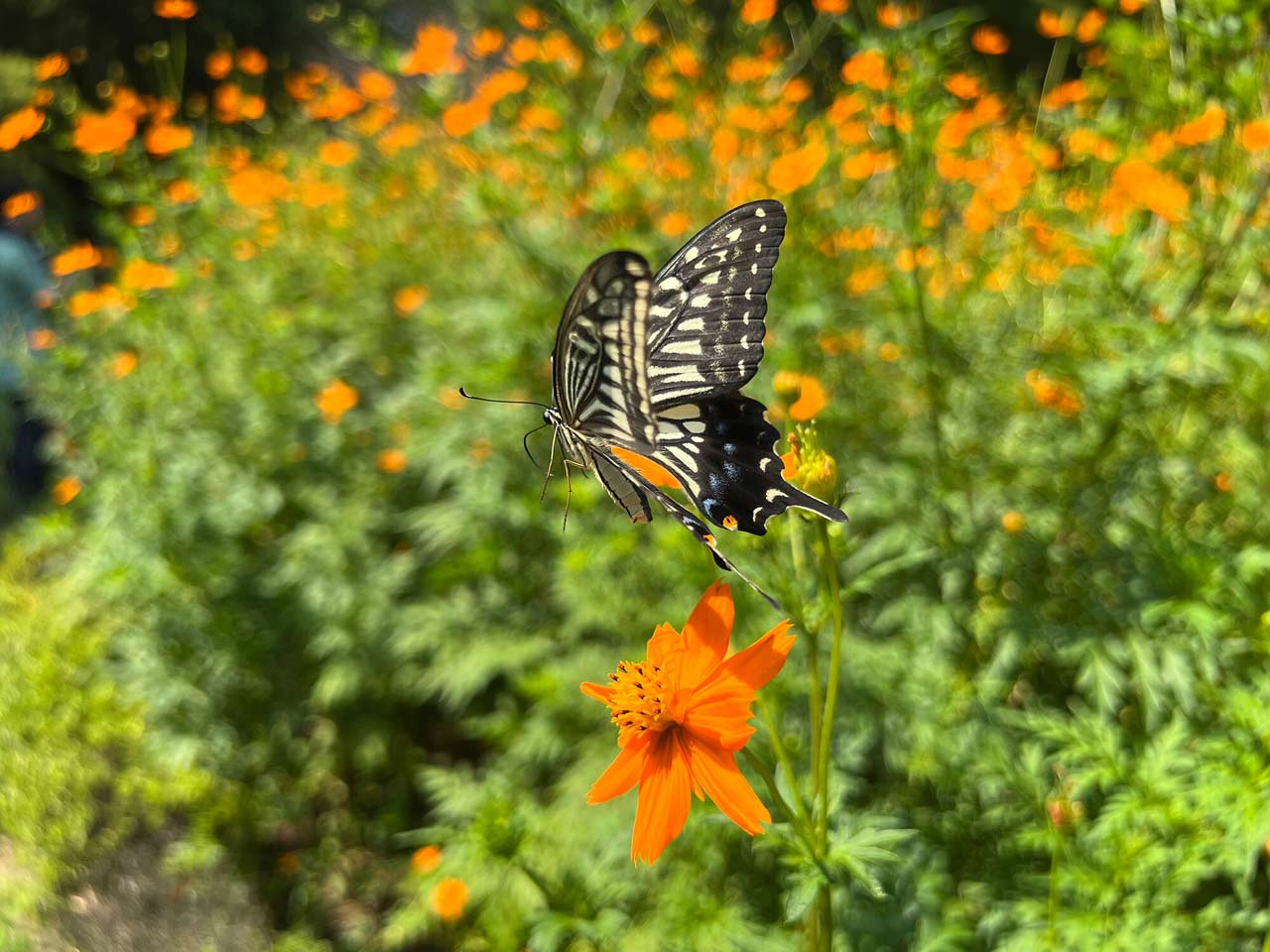 251118_EXAPROClipLens_08ootbh5cw