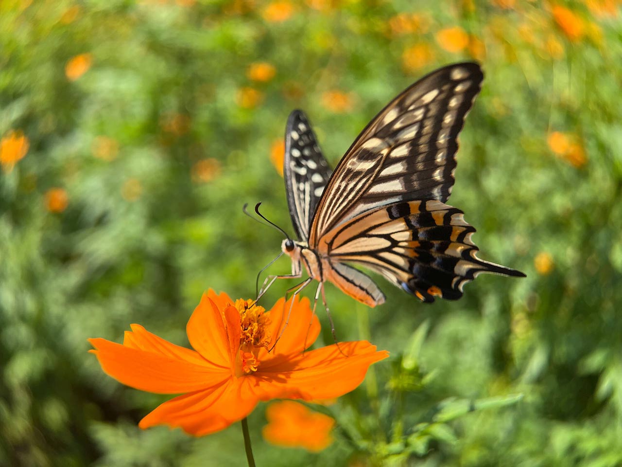 251118_EXAPROClipLens_09ootbh5cw