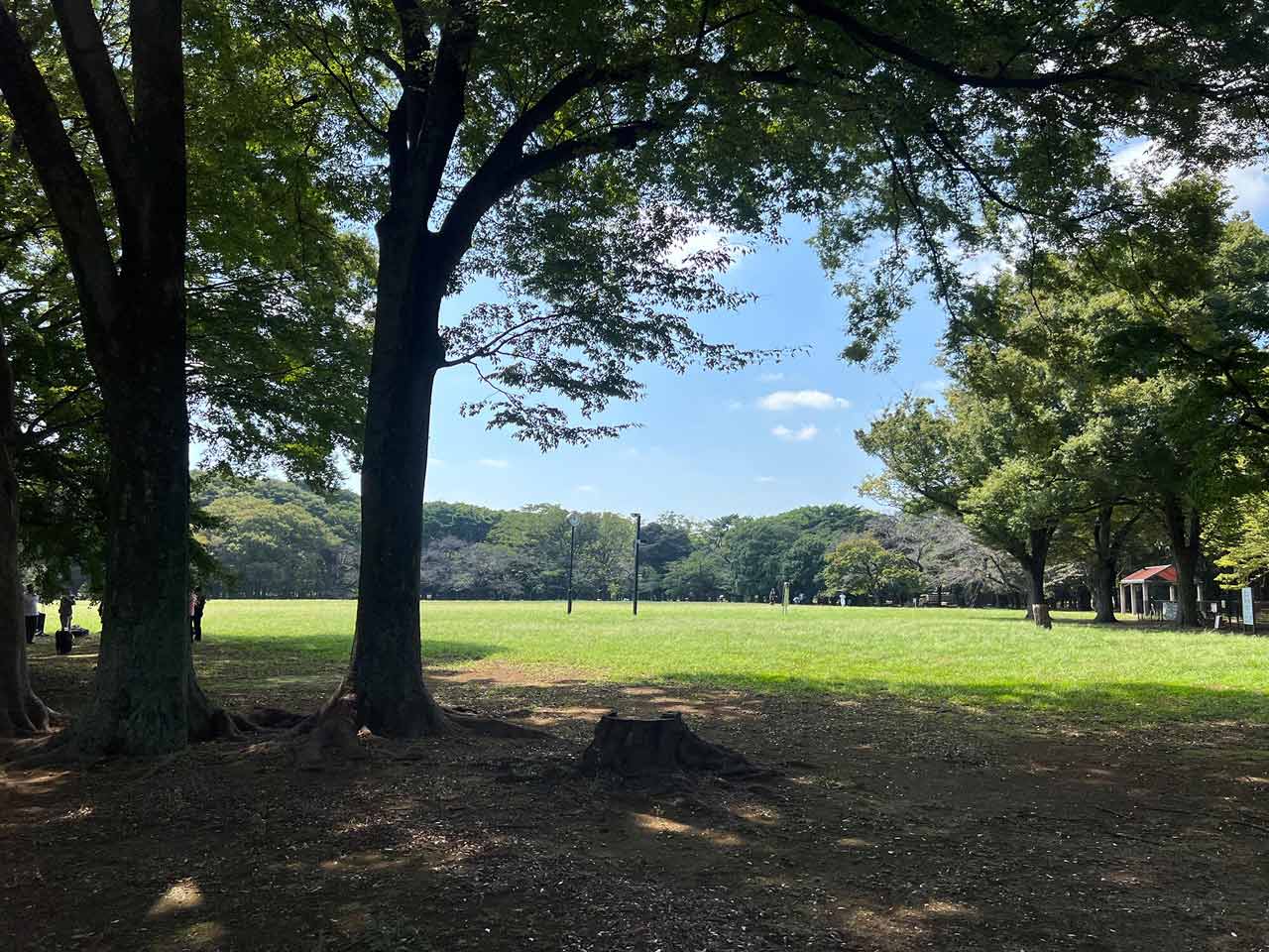 251118_EXAPROClipLens_10eoUin3um