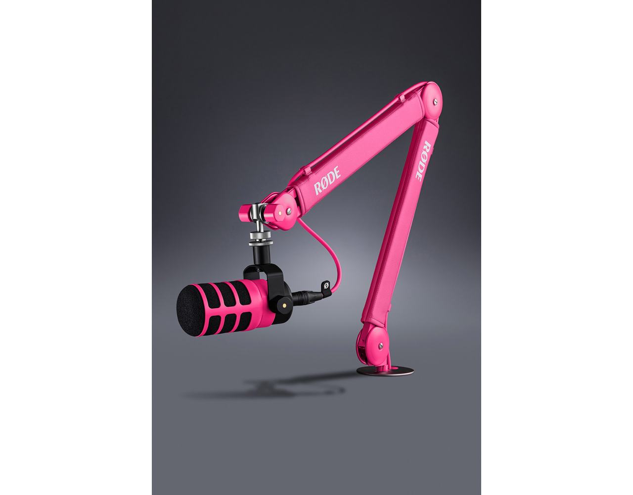 251118_PSA1plus_01S4nURJlG