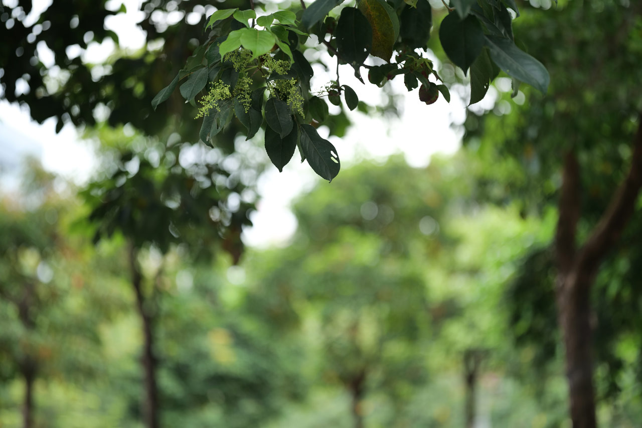 251119_MusePrime_03Curdwvq8