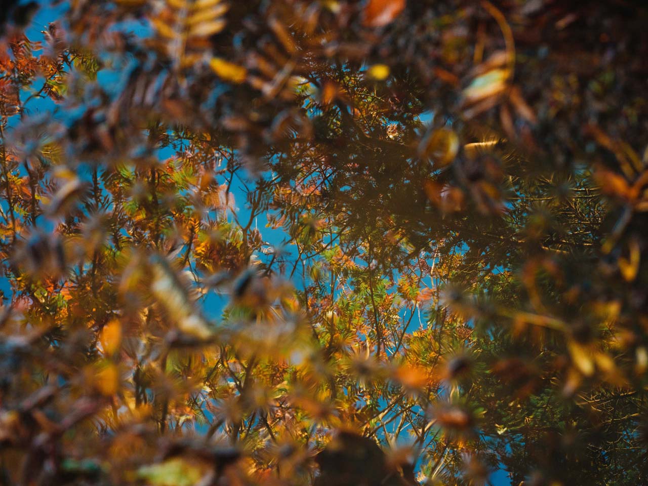 Review_Hasselblad_X2DII_35-100E00_08PUgW4H2J