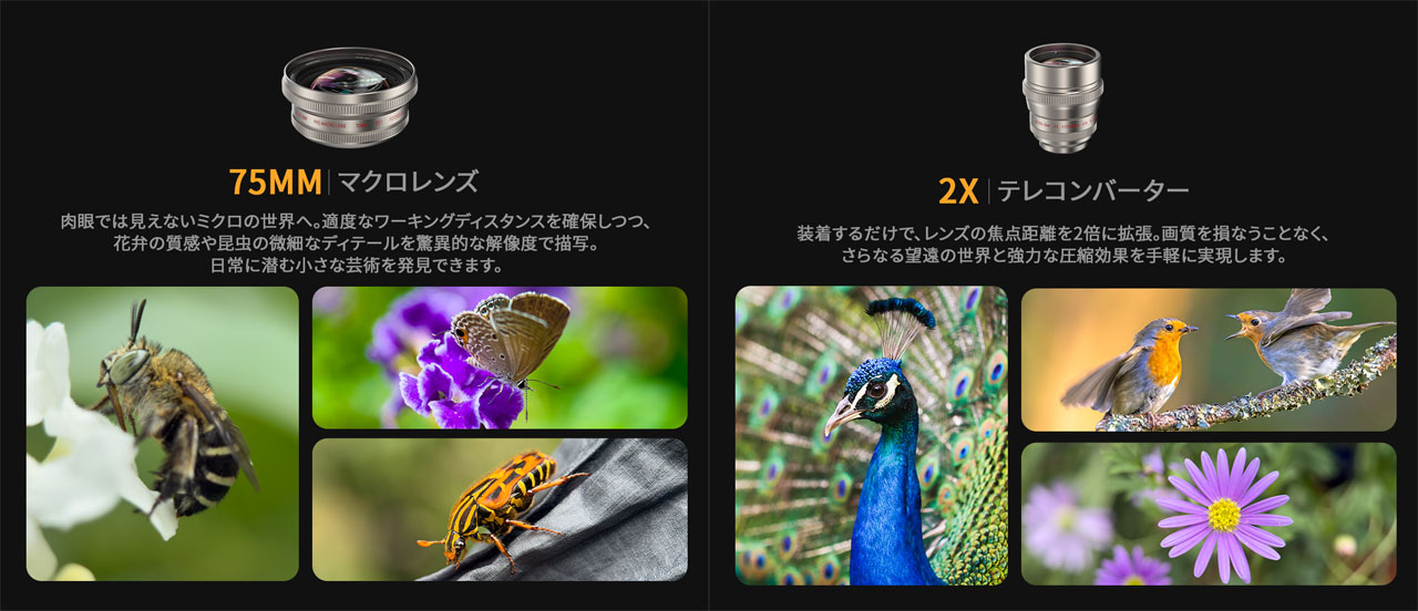 251222_Fotorgear_05y0rDUQtu