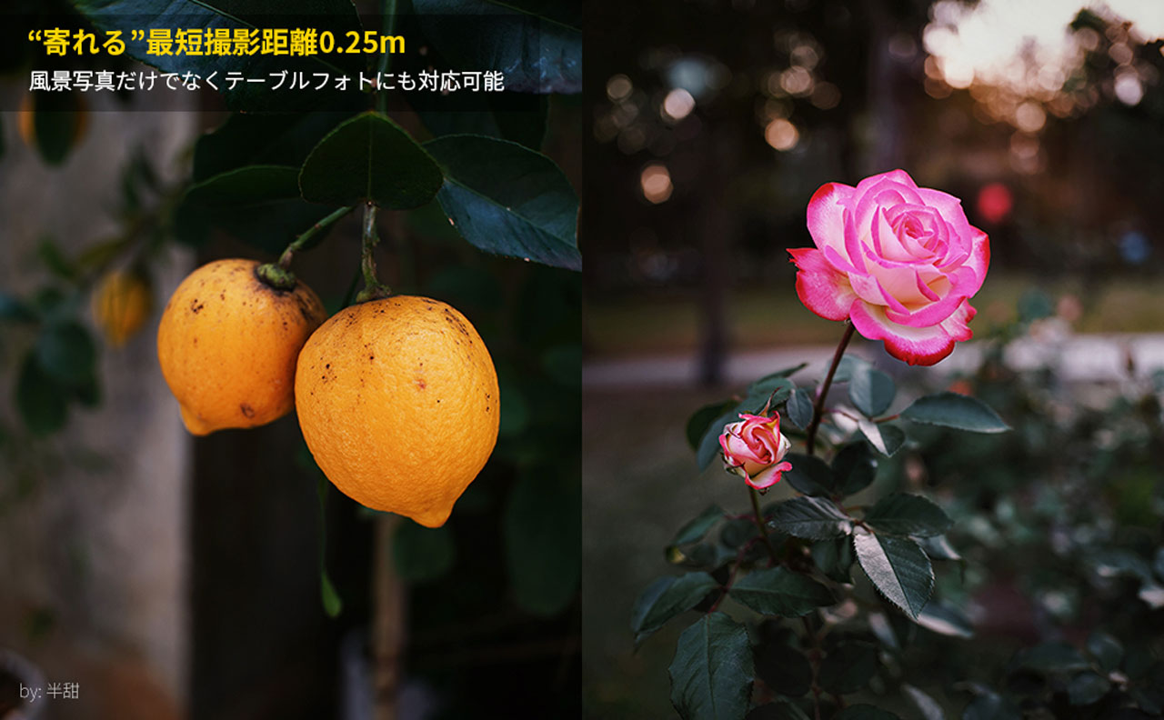 251223_SG-image25_05YHoHiBaS