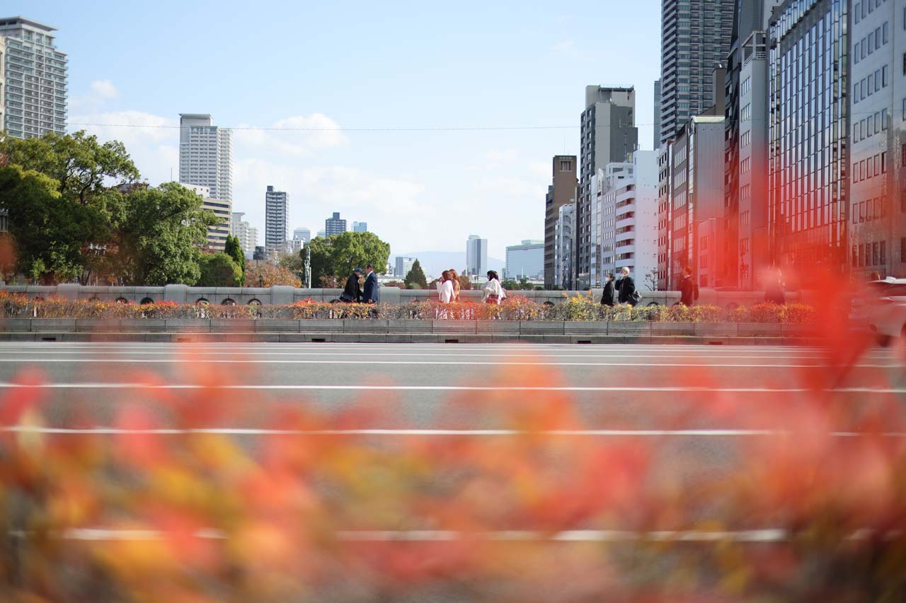 Review_Canon-RF45mm-F12-STM_05