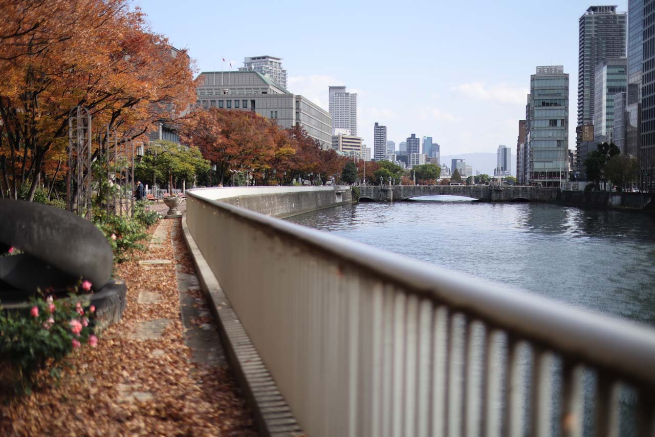 Review_Canon-RF45mm-F12-STM_07