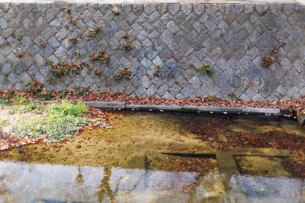 Review_Canon-RF45mm-F12-STM_08LpA6oQft