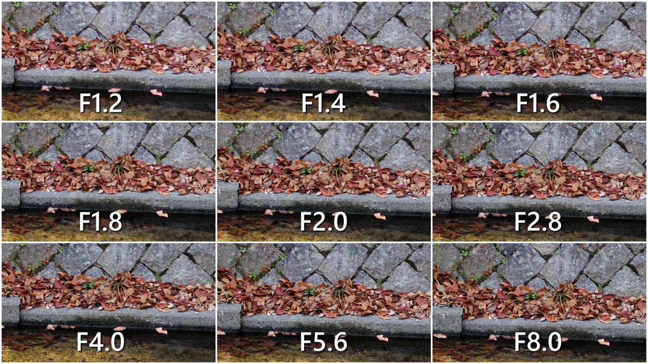 Review_Canon-RF45mm-F12-STM_10