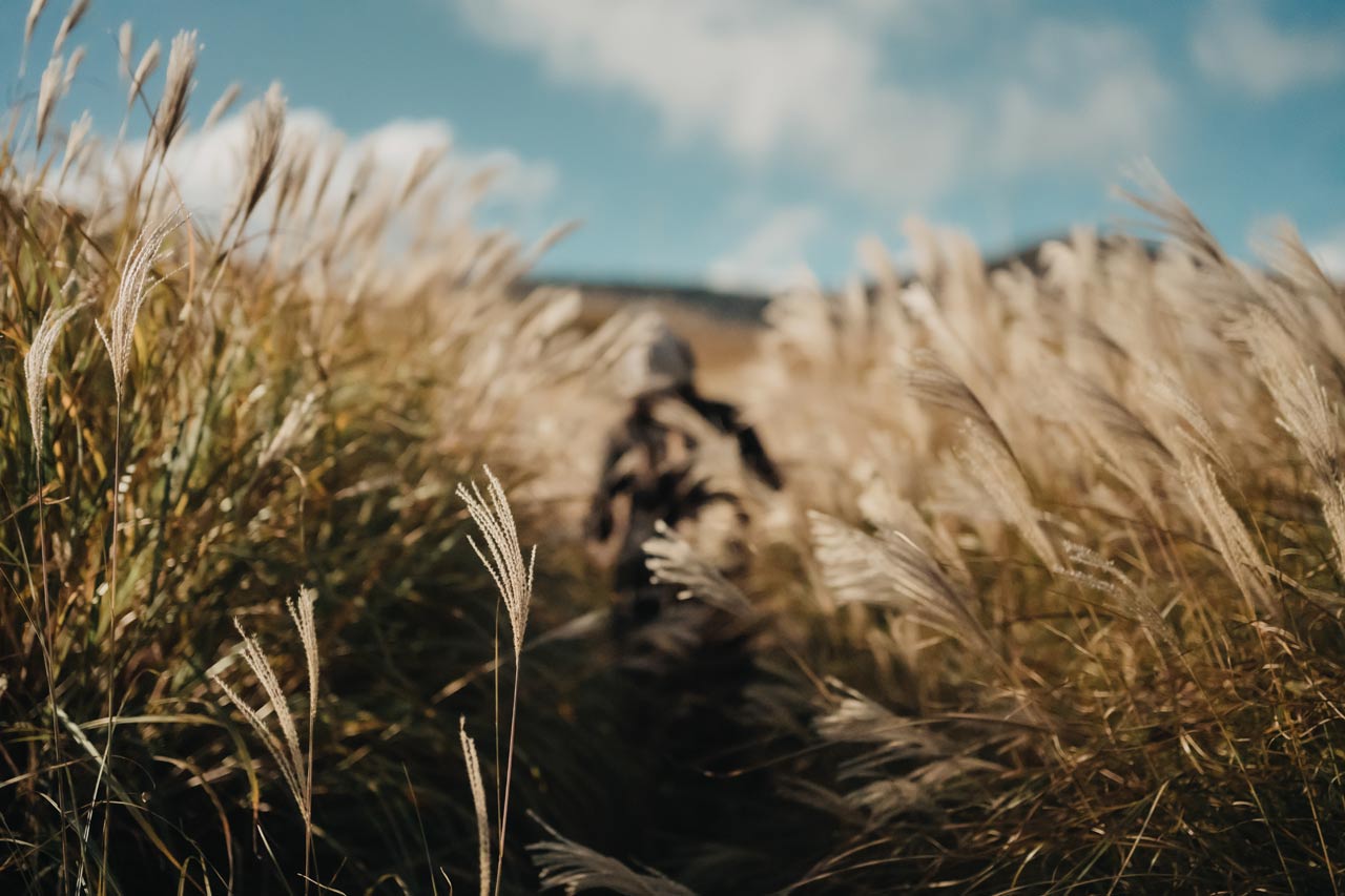 Review_NikonxRED_01TObnFxd7