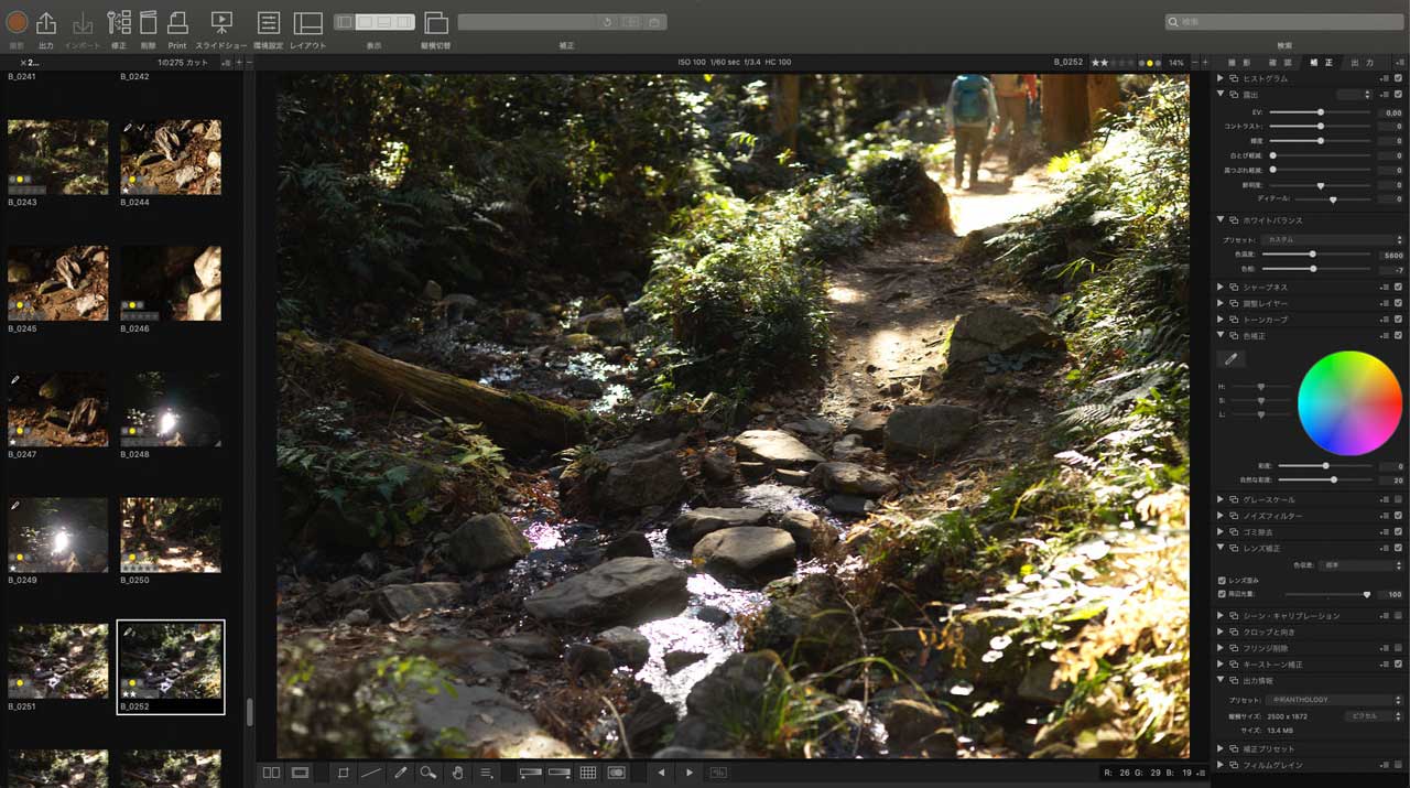 260105_ANTHOLOGY_h5d-60_05jOAysua3