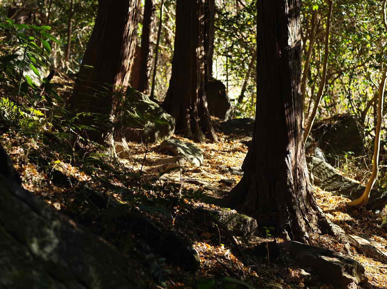 260105_ANTHOLOGY_h5d-60_12