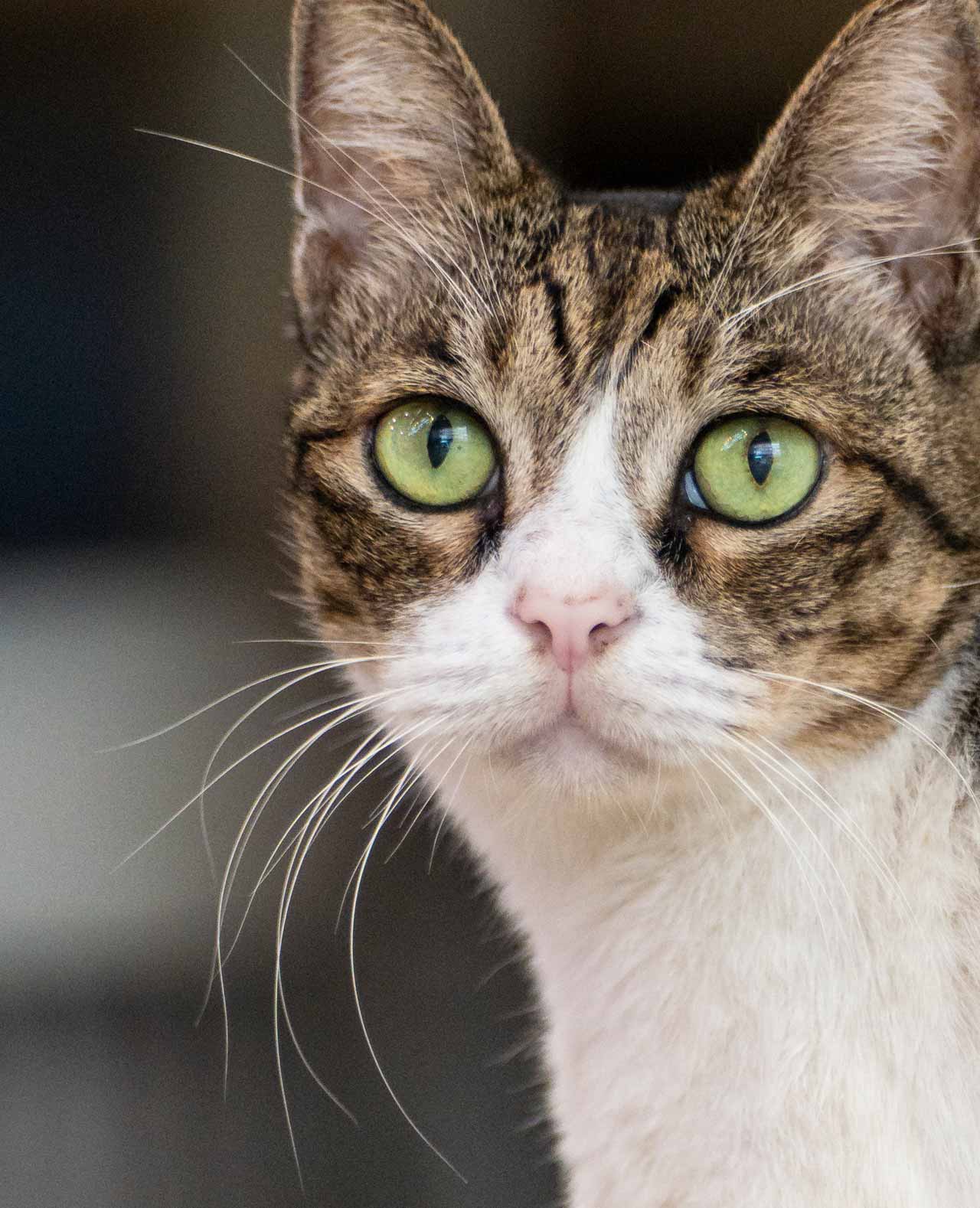 260115_F2-AF-FF_05VdXGVpyq