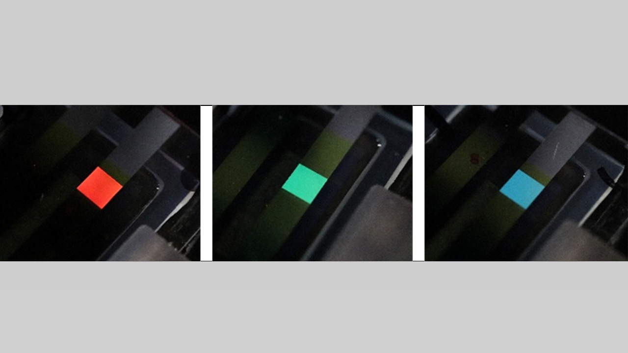 260121_NHK_top3VCgJf8q