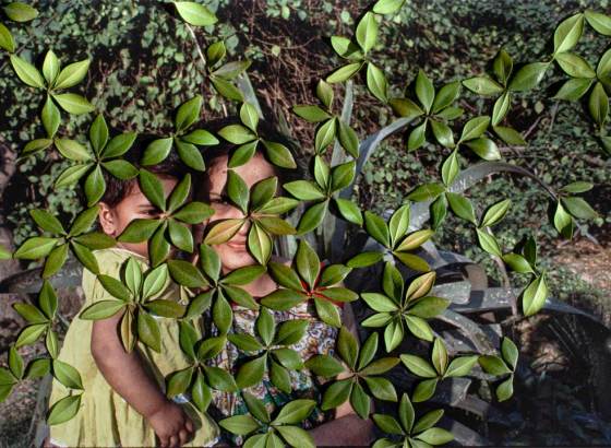 ライカ、女性写真家支援の新プログラム「LOBA Women Grant」応募受付を開始。選出されると1万ユーロと「ライカQ」