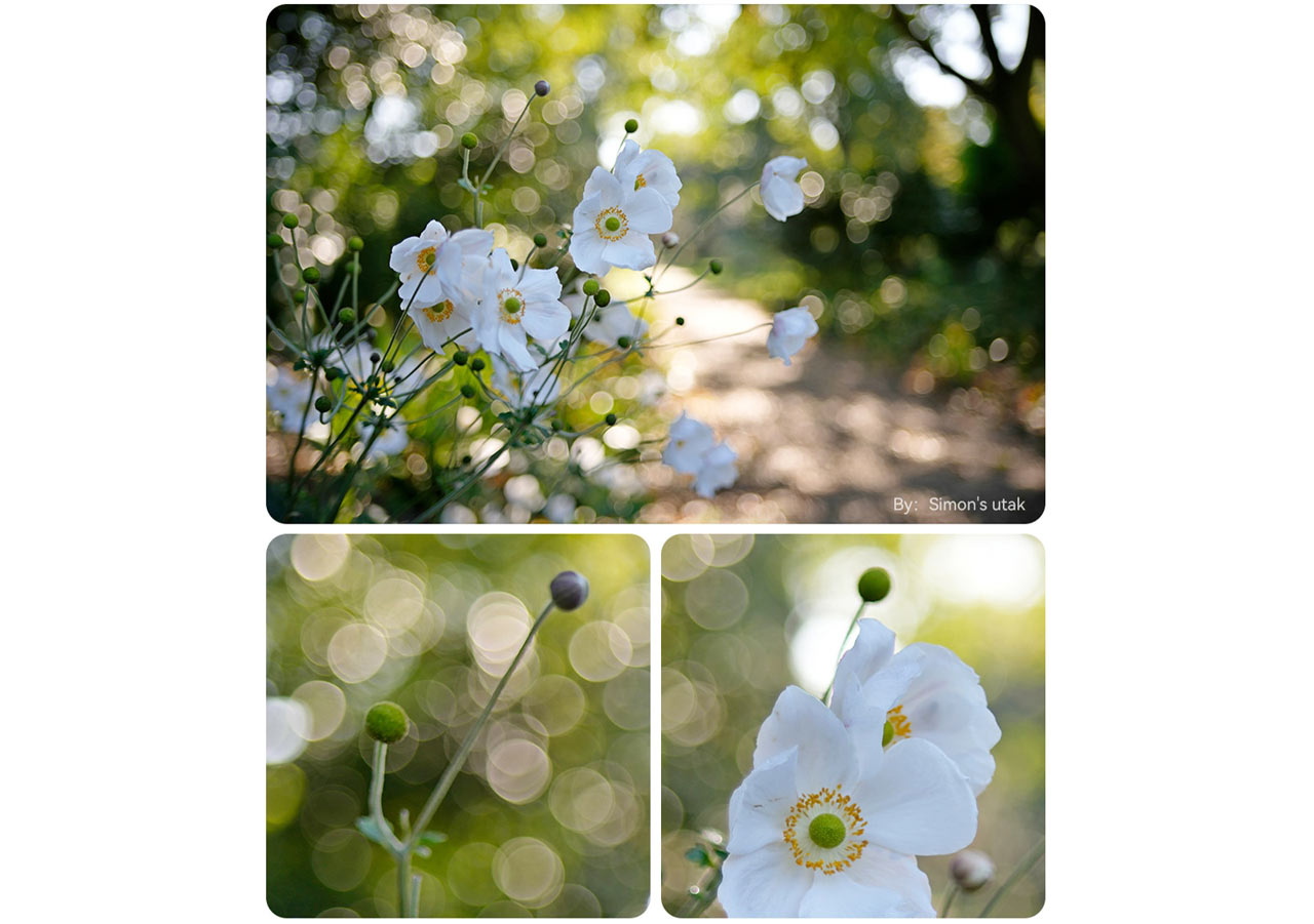 260128_TTArtisan_01qcorvtLK