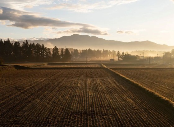 シグマ、会津地域での米づくりを開始