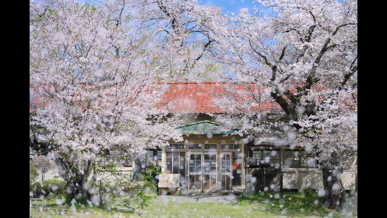 260204_TGtokyo_FUKAZAWA_top