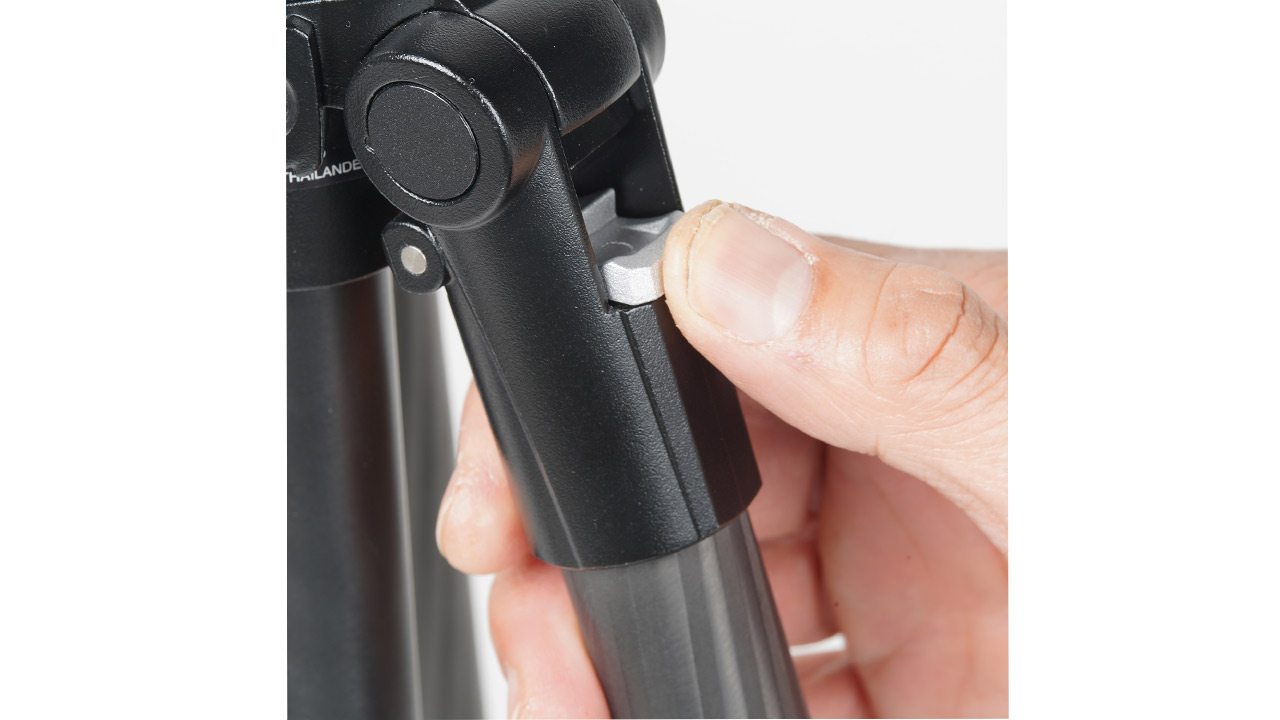 260212_AvocetTarsusII_05pFDNLU1c