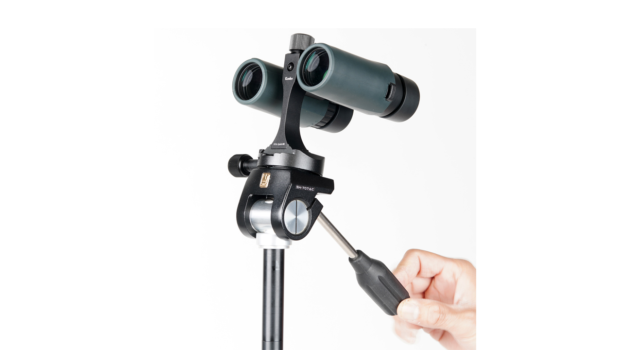 260212_SanderlingTarsus_01PsMWVx8S