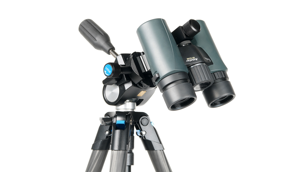 260212_SanderlingTarsus_02P4vU1vjo