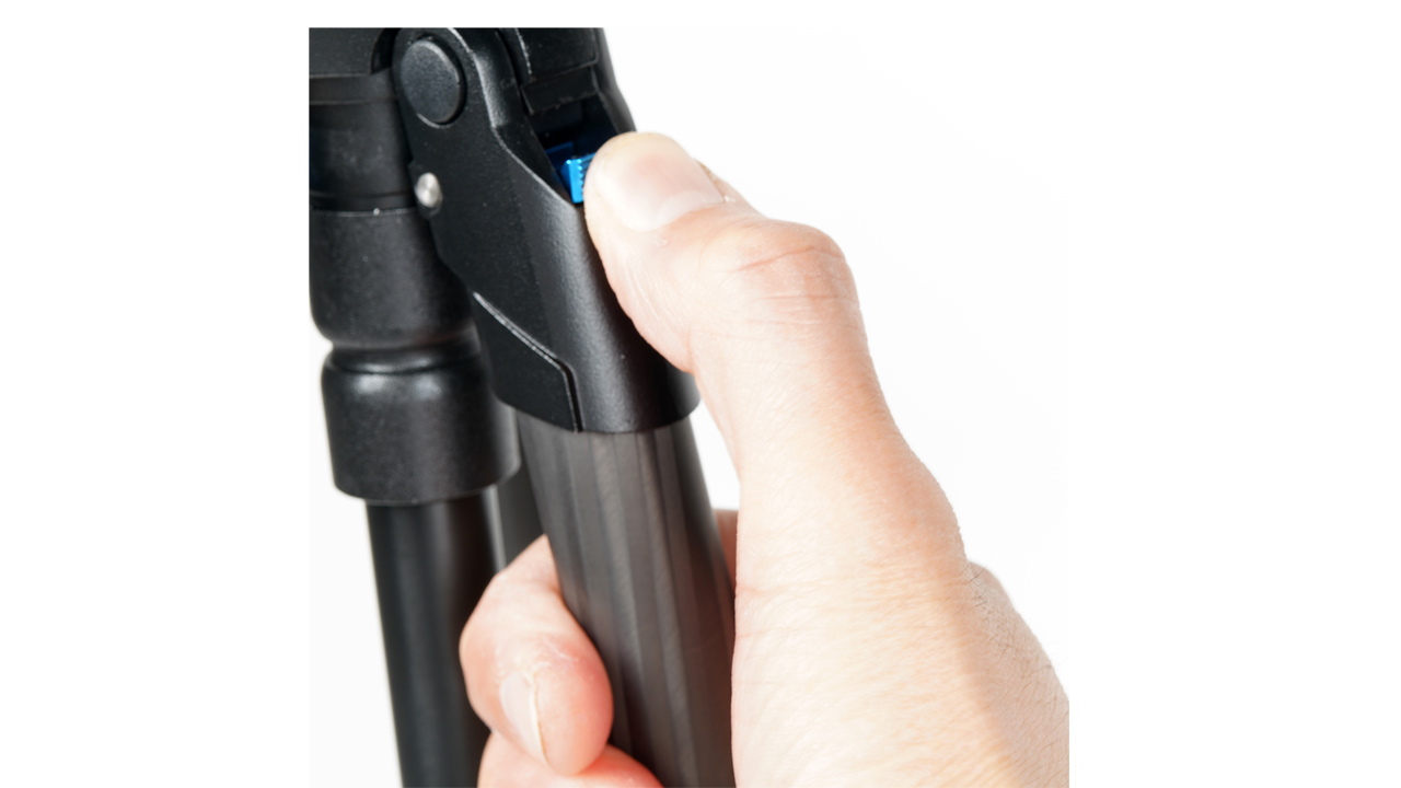 260212_SanderlingTarsus_05Ii7Bh8RD