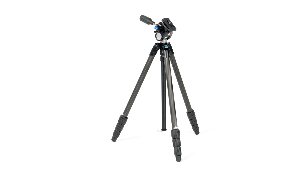 260212_SanderlingTarsus_topjWBn0CCV