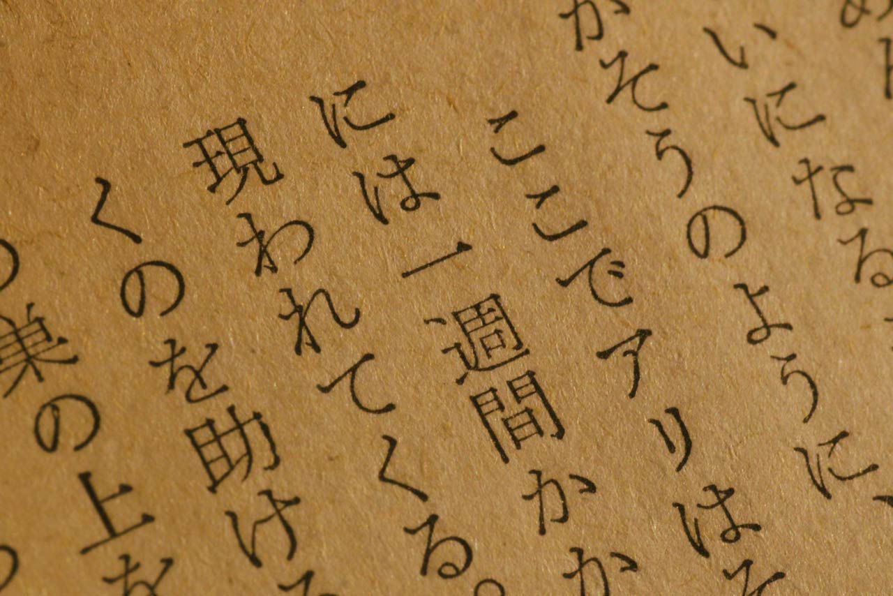 テスト撮影作例11