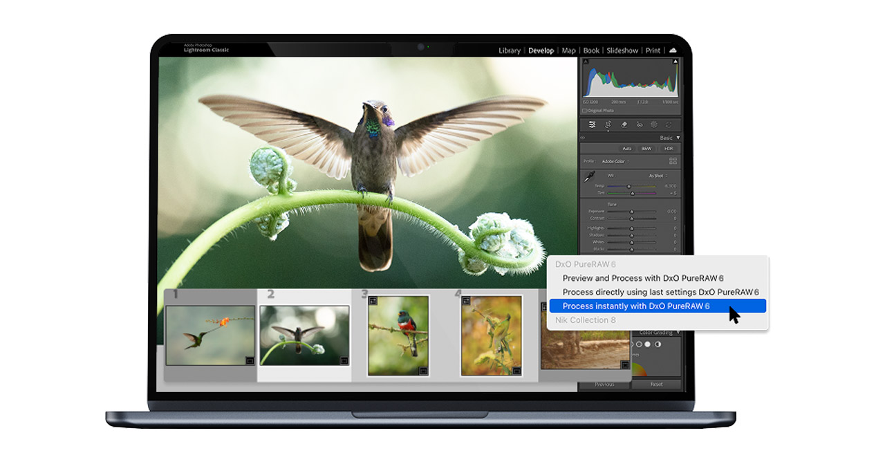 260226_DxO_PureRaw_01hWiXRoPh