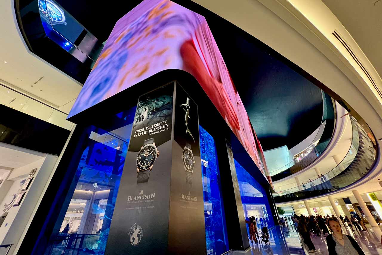 2660216_ds_113_04KTNYHpSw