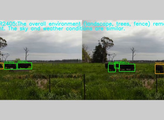 シャープ、5〜10kmの4K伝送とAI解析を両立した「長距離映像モニタリング技術」を開発